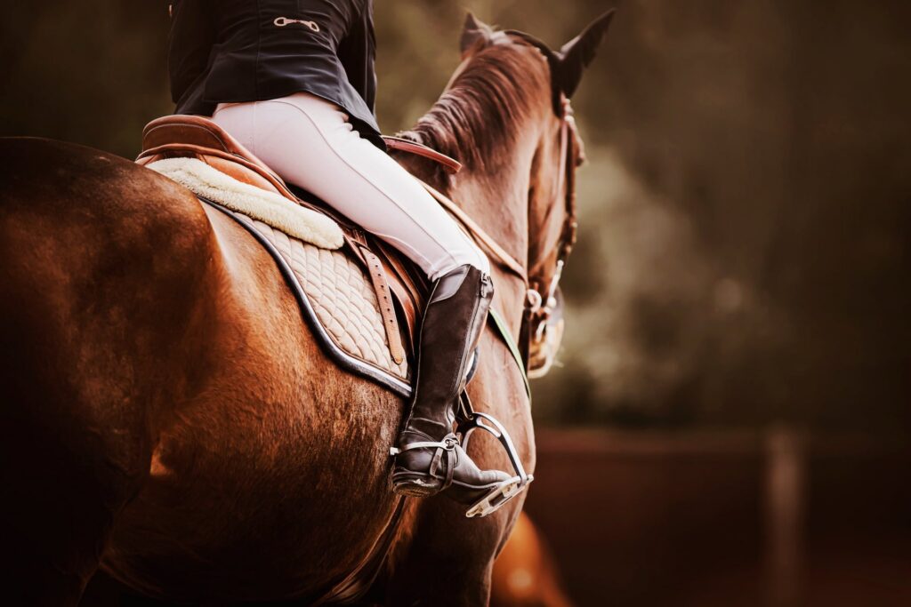 A rider on a horse