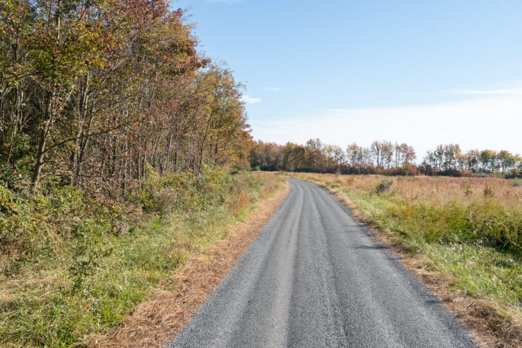 A road in the middle of trees and fields